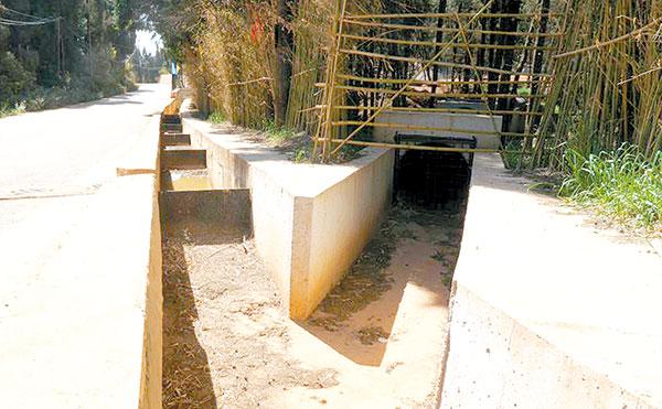 ZMI_20190303-(3) ZMI_20190303-(3)