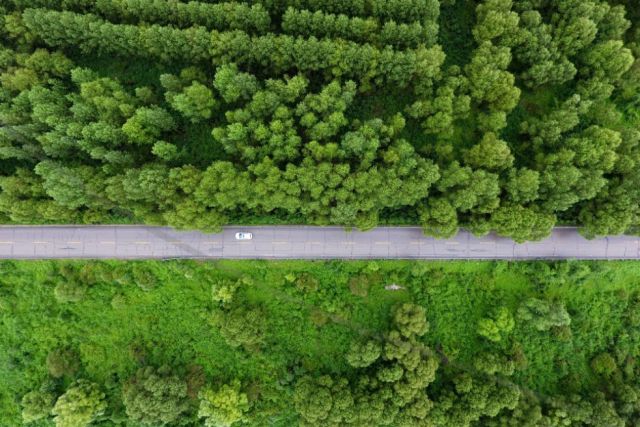 這個奇跡，讓全世界嘆為觀止！