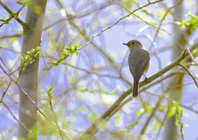 這個奇跡，讓全世界嘆為觀止！
