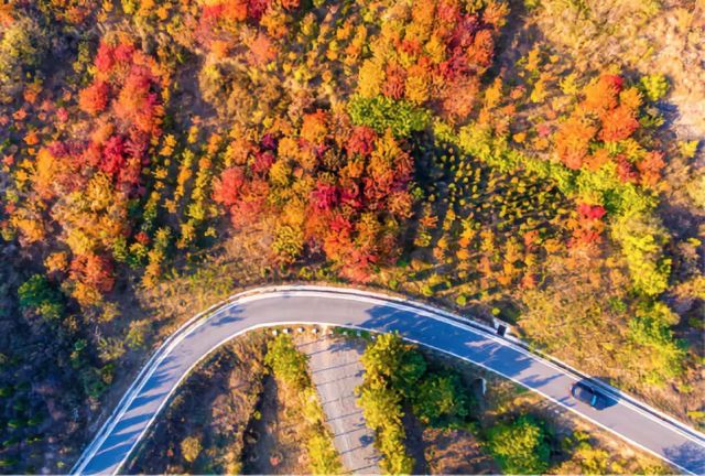這個奇跡，讓全世界嘆為觀止！