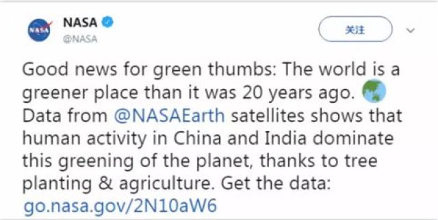 這個奇跡，讓全世界嘆為觀止！