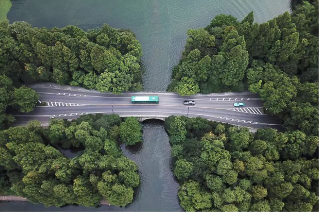 這個奇跡，讓全世界嘆為觀止！