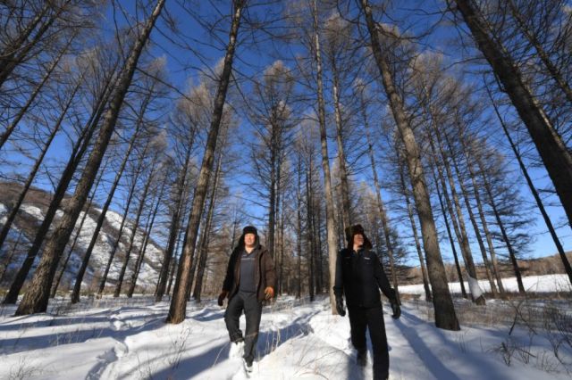 這個奇跡，讓全世界嘆為觀止！