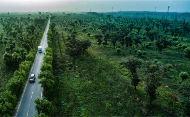 這個奇跡，讓全世界嘆為觀止！