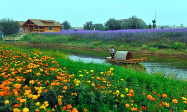 這個奇跡，讓全世界嘆為觀止！