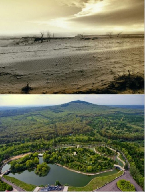 這個奇跡，讓全世界嘆為觀止！