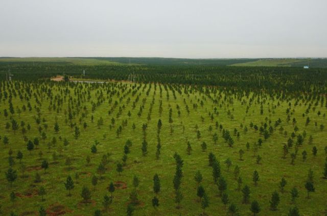 這個奇跡，讓全世界嘆為觀止！