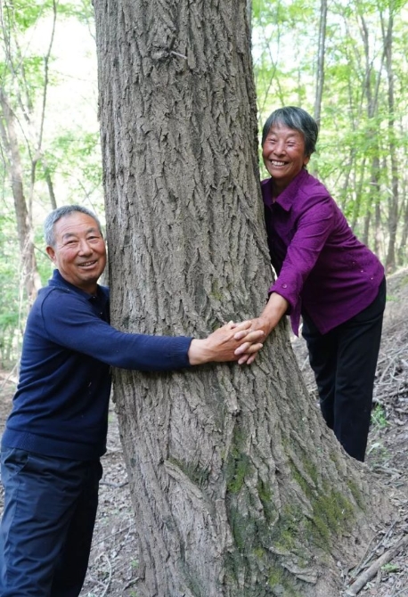 這個奇跡，讓全世界嘆為觀止！