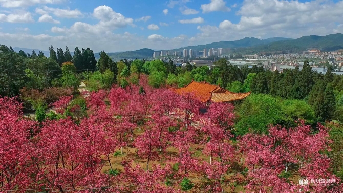 27df1b6211e36f019a7320d72b2c7e1 27df1b6211e36f019a7320d72b2c7e1