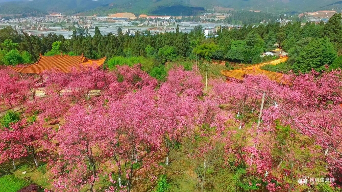 a3448e7eadfb9c4a4827e4bd24275cc a3448e7eadfb9c4a4827e4bd24275cc