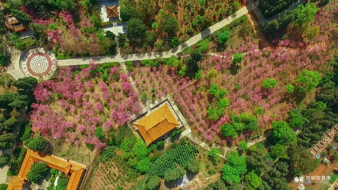 781b40da5ce3cfa93c068f7c9f8a050 781b40da5ce3cfa93c068f7c9f8a050