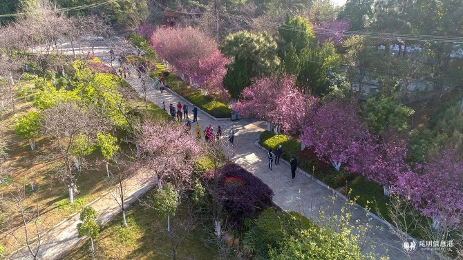 7fc6b785fa4074a06b50c475fa4201b 7fc6b785fa4074a06b50c475fa4201b