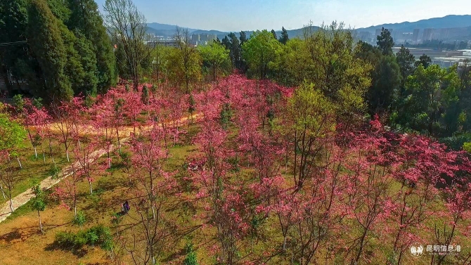 1a74e972e4104380e6c62b4e494620e 1a74e972e4104380e6c62b4e494620e