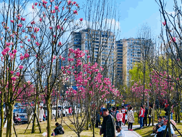 微信圖片_20190312141531