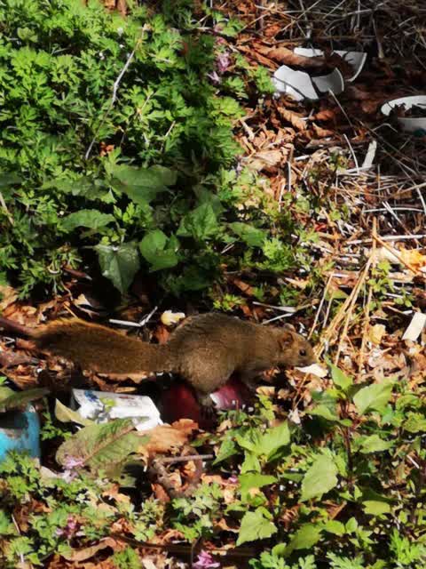 6e516b92-e2c6-4334-897c-0dbde86ed9f3_w640 6e516b92-e2c6-4334-897c-0dbde86ed9f3_w640