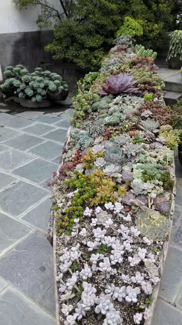 0f3281c4-843a-482b-9f63-4bb392efa835_w640 0f3281c4-843a-482b-9f63-4bb392efa835_w640