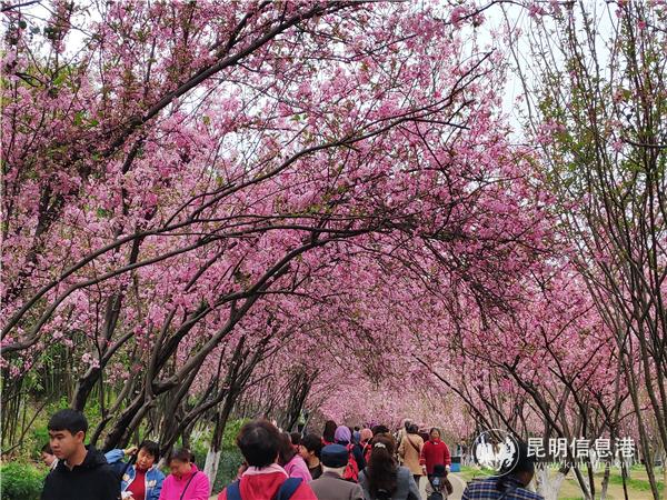 1502023374 1502023374