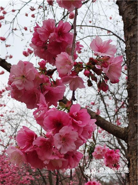 1674850986 1674850986