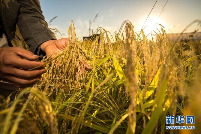 1124236543_15525833350791n 1124236543_15525833350791n