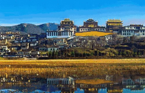 微信圖片_20190315130101 微信圖片_20190315130101