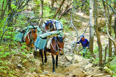 箭扣長城修復工程即將再啟動 未來三年修17座敵臺敵樓
