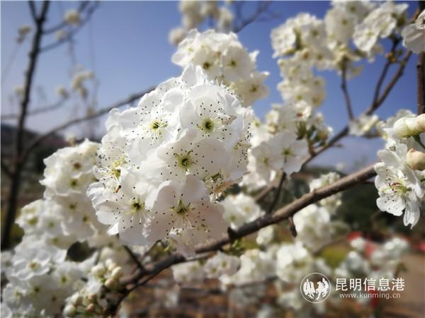 IMG_20190316_103441 IMG_20190316_103441