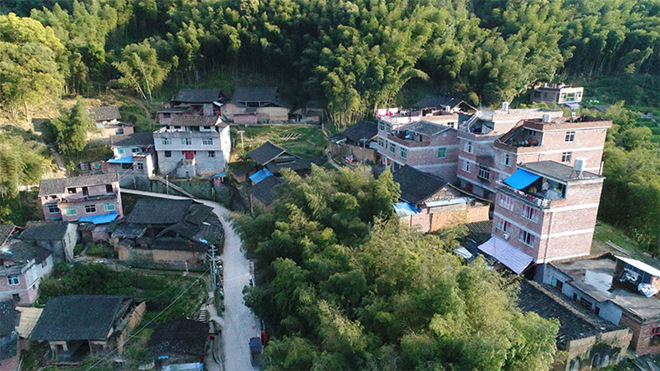 雷金玉所在的后門坪村。