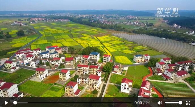 點(diǎn)擊查看視頻