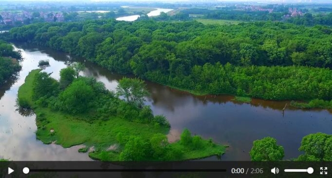 點(diǎn)擊查看視頻