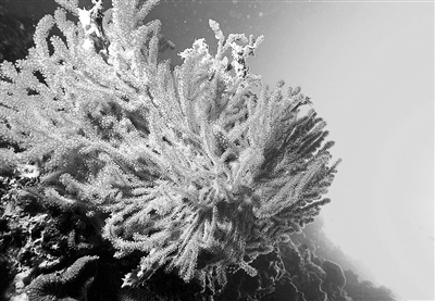 changlj9362_b changlj9362_b