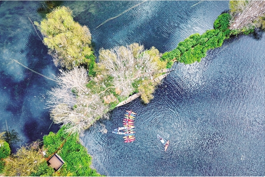 微信截圖_20190318101201 微信截圖_20190318101201