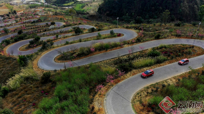 00300474302_fb3b89e2