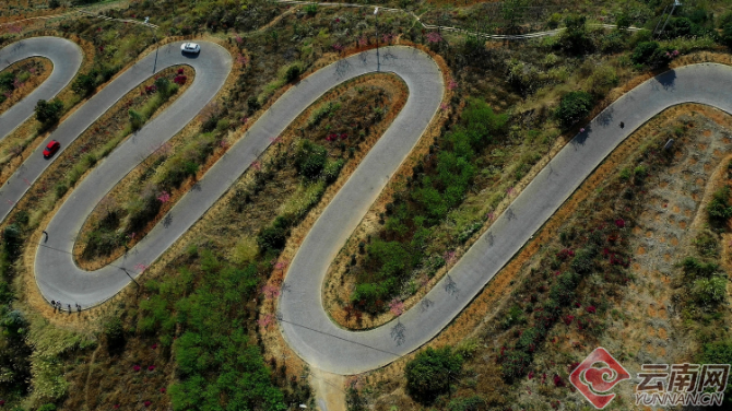 00300474303_58d98481