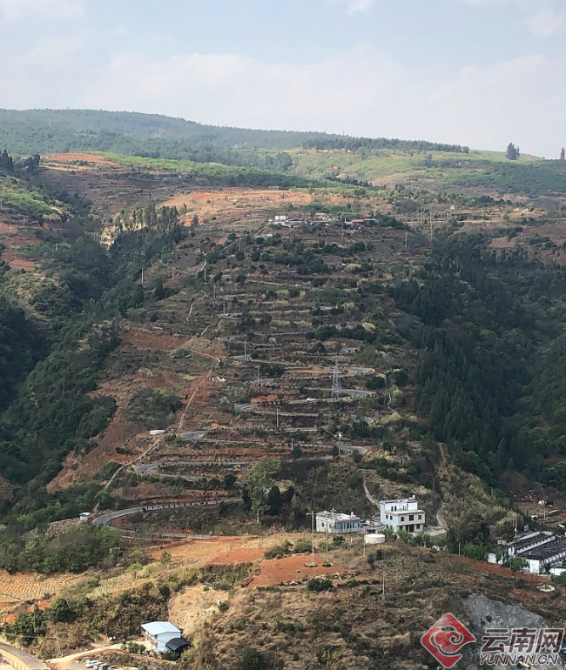 00300474304_1dff5480