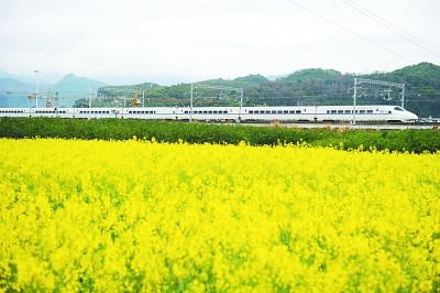 中國(guó)奇跡背后的“政治密碼” 中國(guó)奇跡背后的“政治密碼”