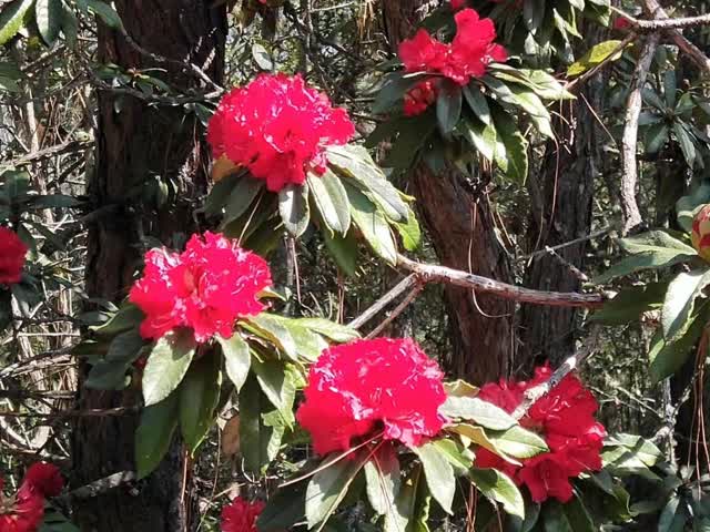 微信圖片_20190319120611