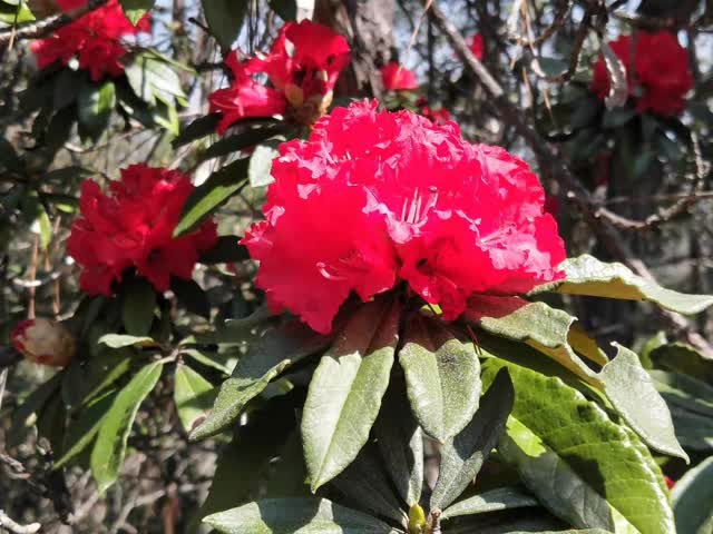 微信圖片_20190319120624