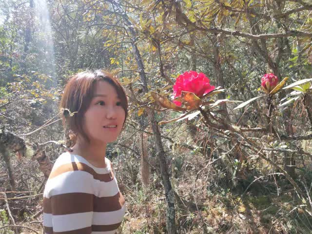 微信圖片_20190319120536