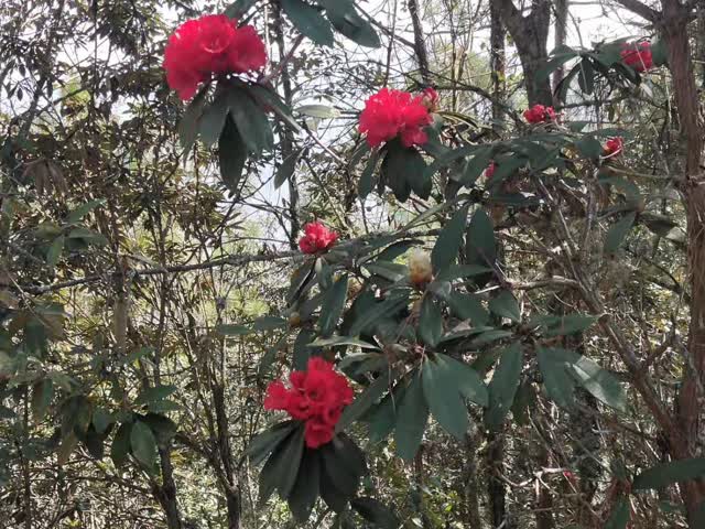 微信圖片_20190319120542