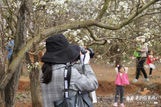 10、每年這個(gè)時(shí)候，呈貢萬(wàn)溪都能吸引許多攝影愛(ài)好者前來(lái)拍攝。彩龍社區(qū)網(wǎng)友@jiajiahua 攝。