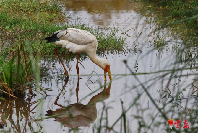 20190319054033801 20190319054033801