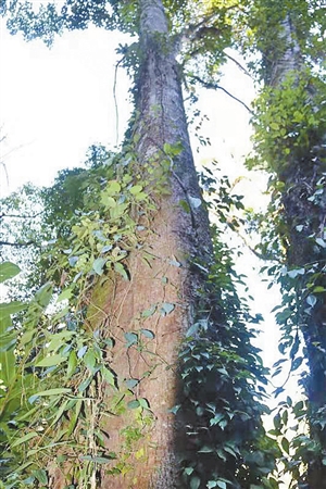 2019032001_res08_attpic_icon 2019032001_res08_attpic_icon