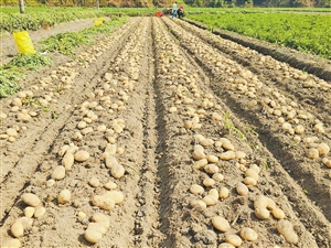 2019032004_res12_attpic_icon 2019032004_res12_attpic_icon