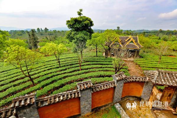 圖片來源于網(wǎng)絡(luò) 圖片來源于網(wǎng)絡(luò)