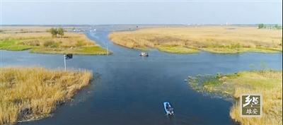 微紀(jì)錄片是如何成為“網(wǎng)紅”的