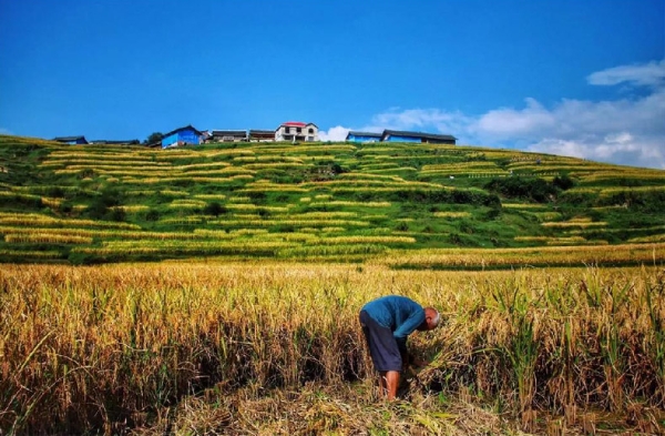 1124270764_15532451896611n 1124270764_15532451896611n