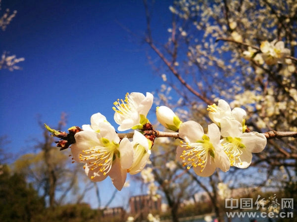 1124268403_15532192108051n 1124268403_15532192108051n