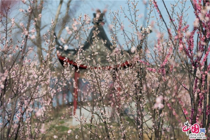 a383371f-307a-4517-8ecc-20c2516e532f_batchwm a383371f-307a-4517-8ecc-20c2516e532f_batchwm