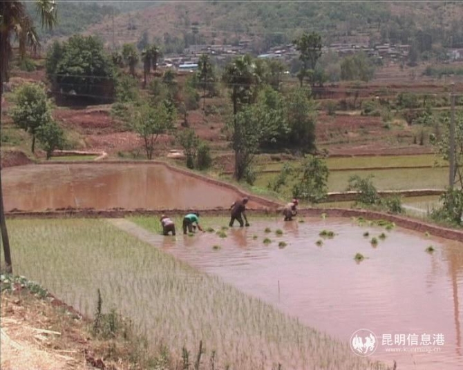 b76d79318b498508c533f75965e0688 b76d79318b498508c533f75965e0688