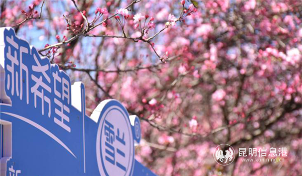 圖片4_副本 圖片4_副本